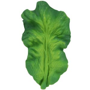 Anneau de dentition chou kale