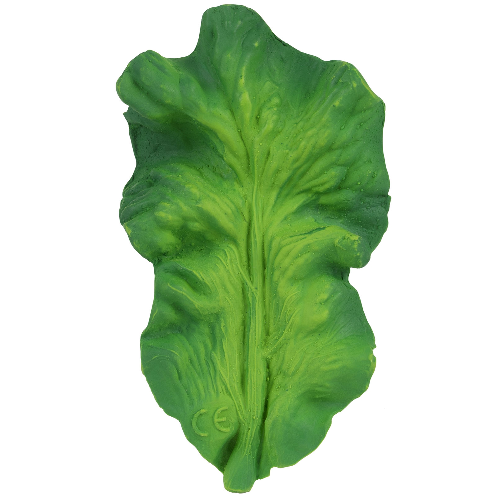 Anneau de dentition chou kale