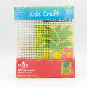 Kit canevas gros trous ananas