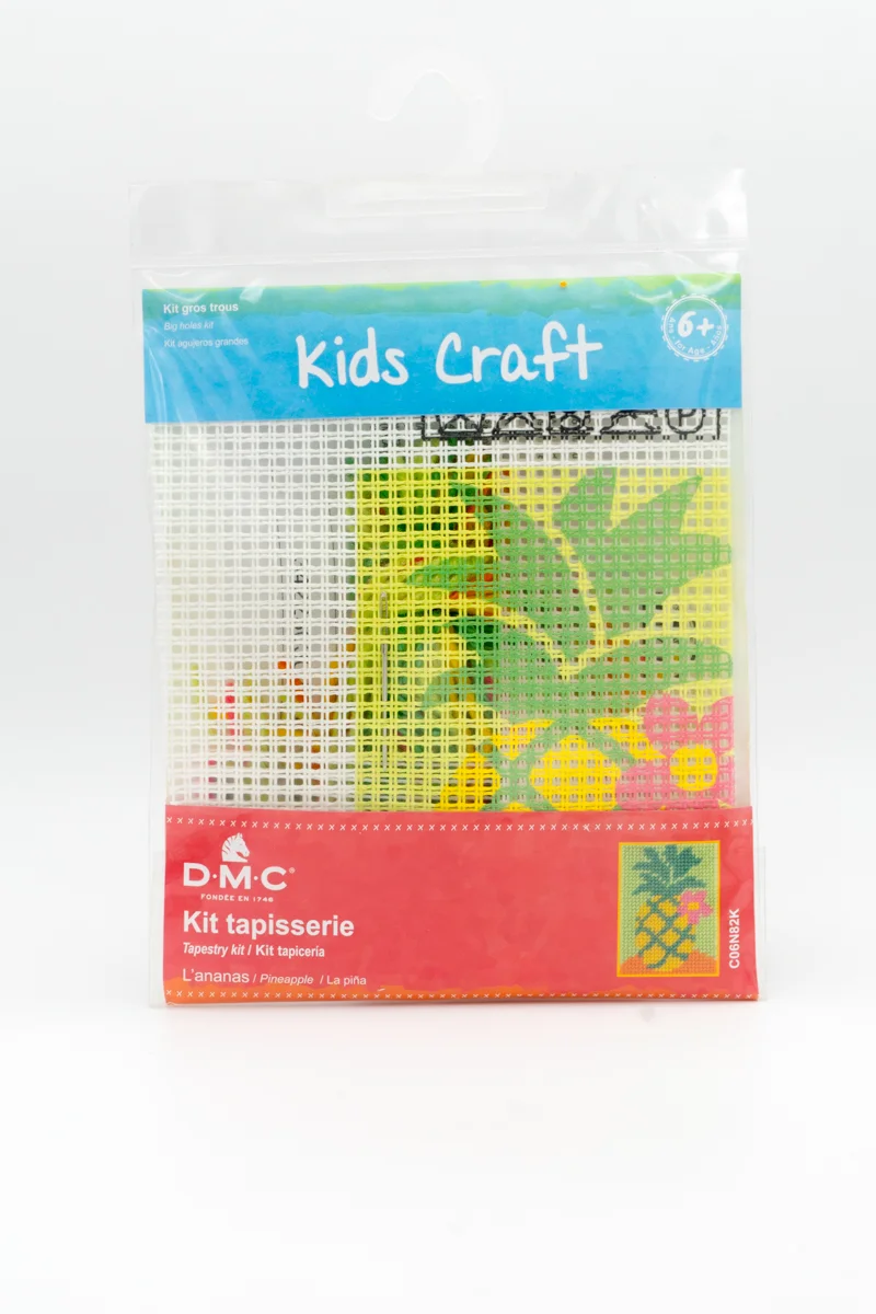 Kit canevas gros trous ananas