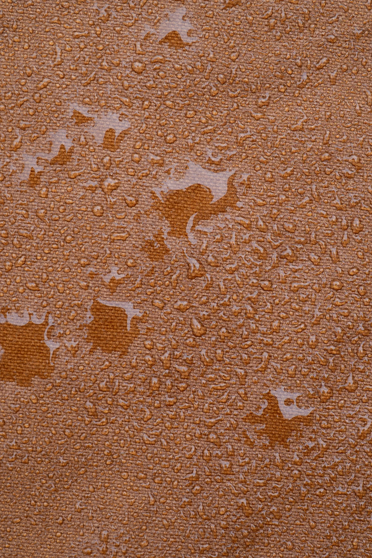 Banane custine – Hazelnut – Waxed – Image 4