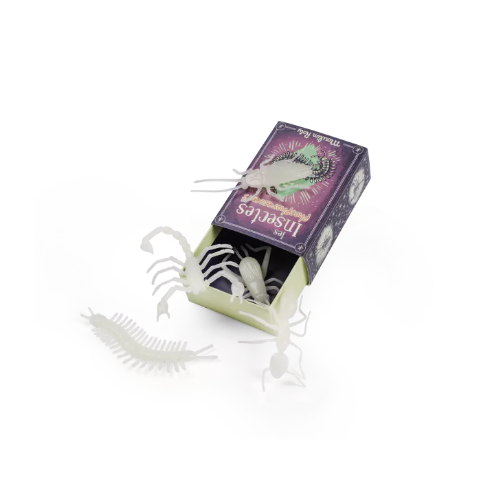 5 insectes phosphorescents | Les petites merveilles – Image 2