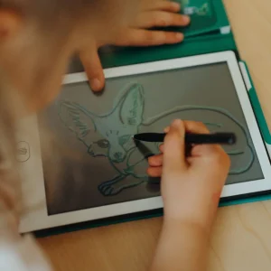 Kidydraw mini – Animals around the world