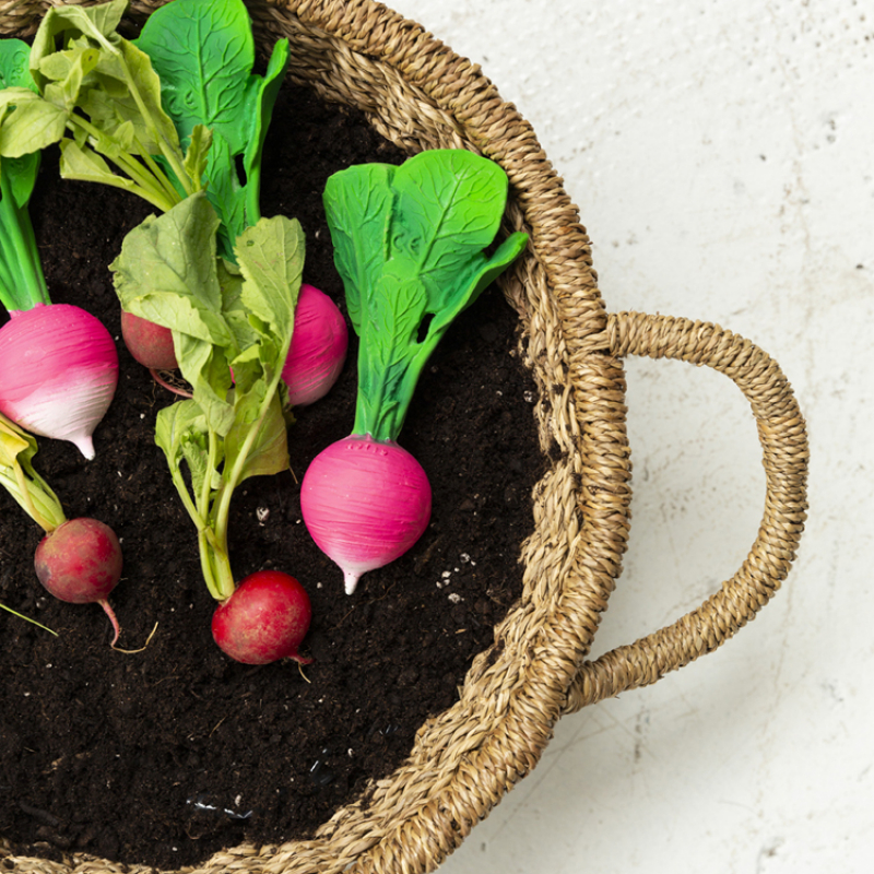 Anneau de dentition radis – Image 4