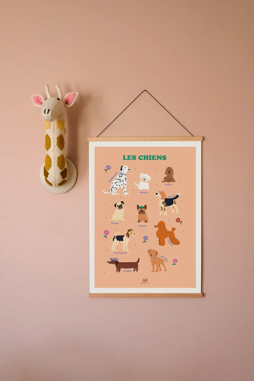 Affiche 50×70 Les chiens – Image 3