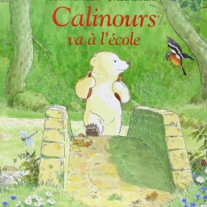 Livre Calinours va à l’école | Alain Broutin, Frédéric Stehr