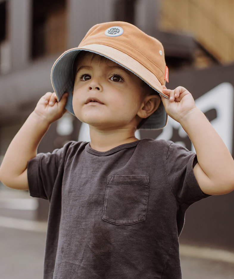 Bob – Mini chesnut – Image 4