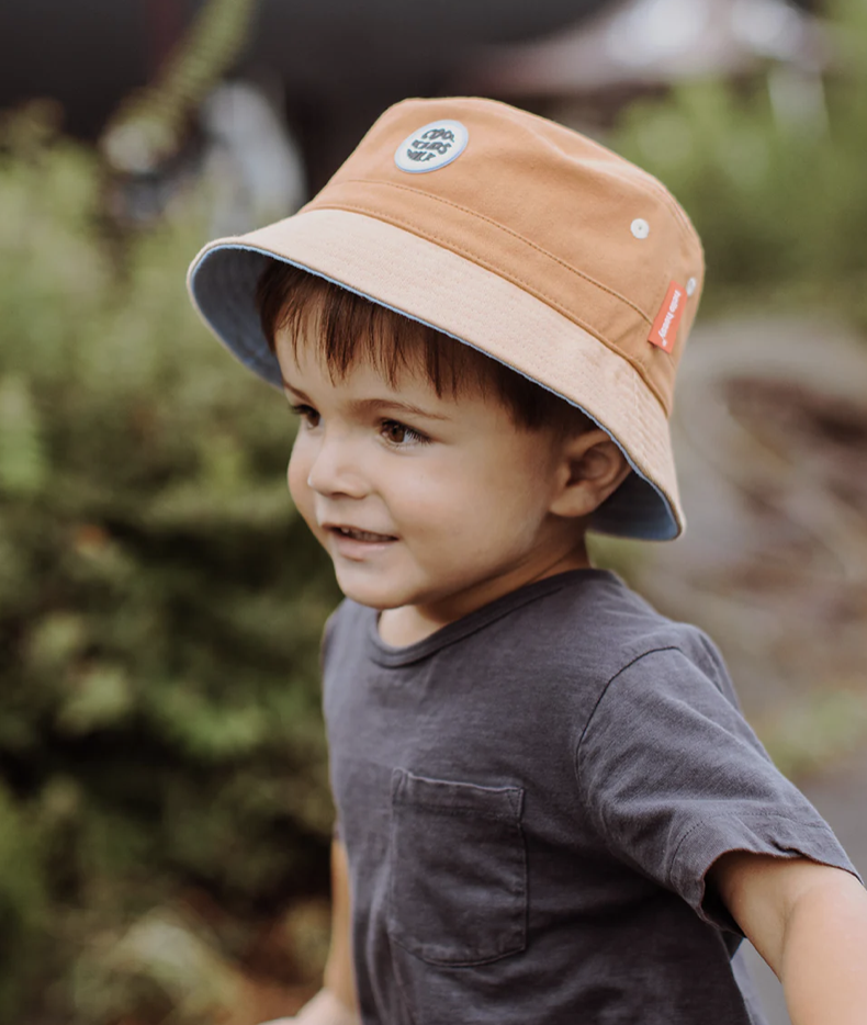 Bob – Mini chesnut – Image 3