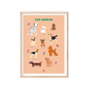 Affiche 50×70 Les chiens