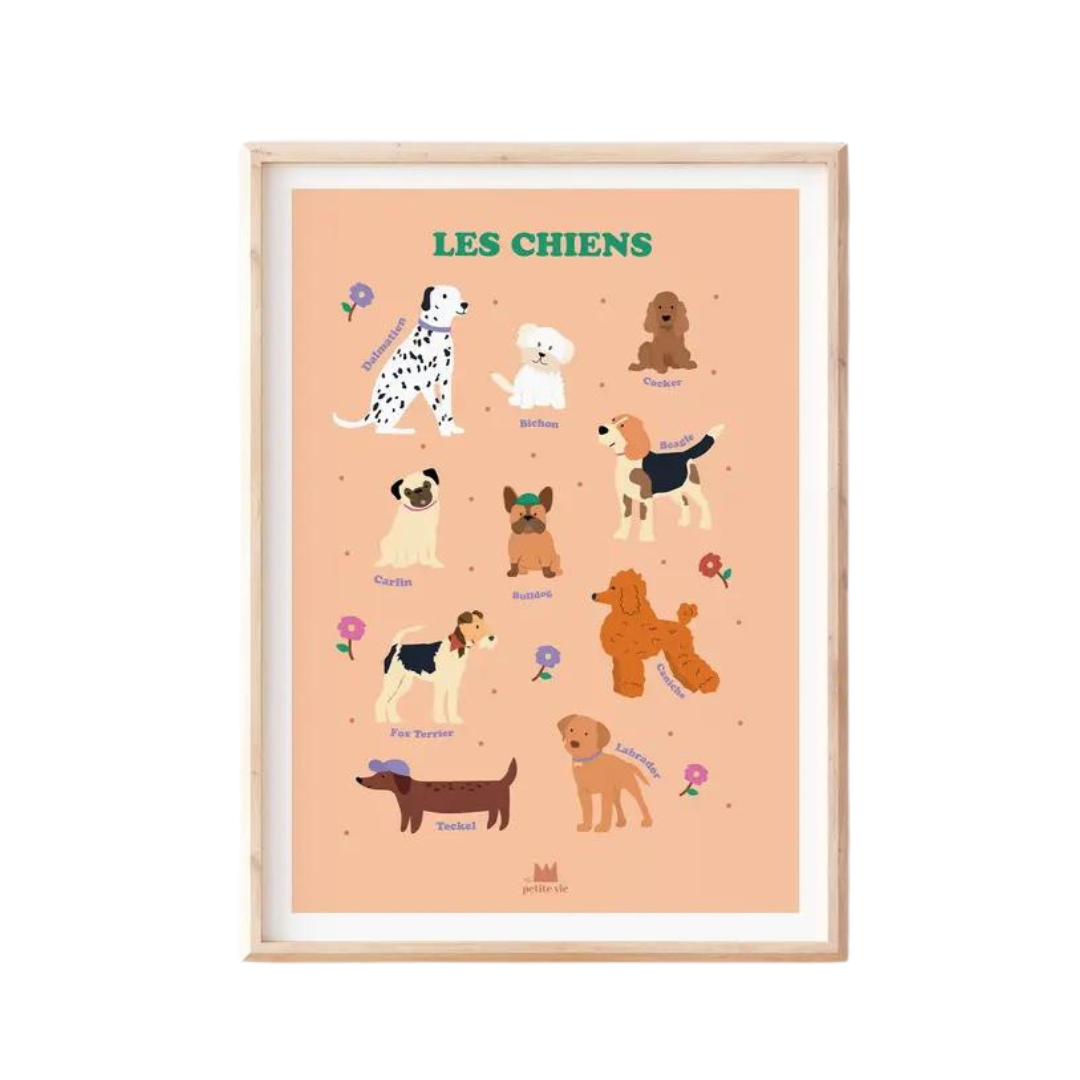 Affiche 50×70 Les chiens