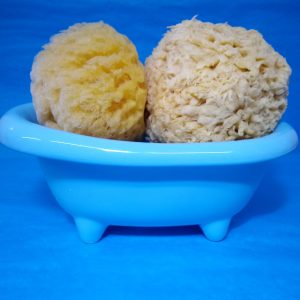 Éponge de Mer Naturelle