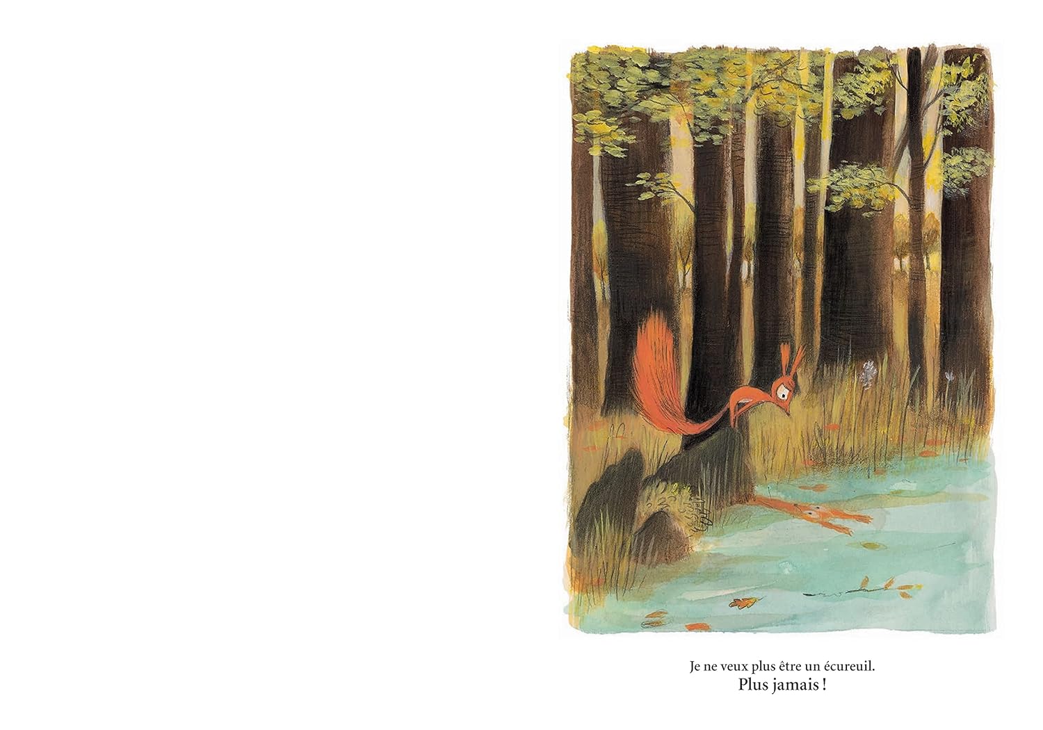 Livre j’aurais voulu | Olivier Tallec – Image 4