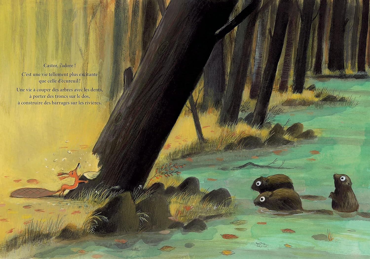 Livre j’aurais voulu | Olivier Tallec – Image 6