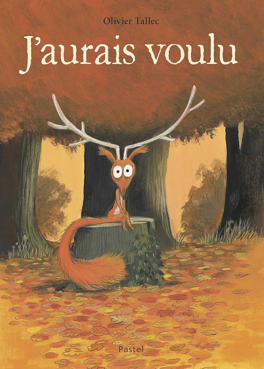 Livre j’aurais voulu | Olivier Tallec