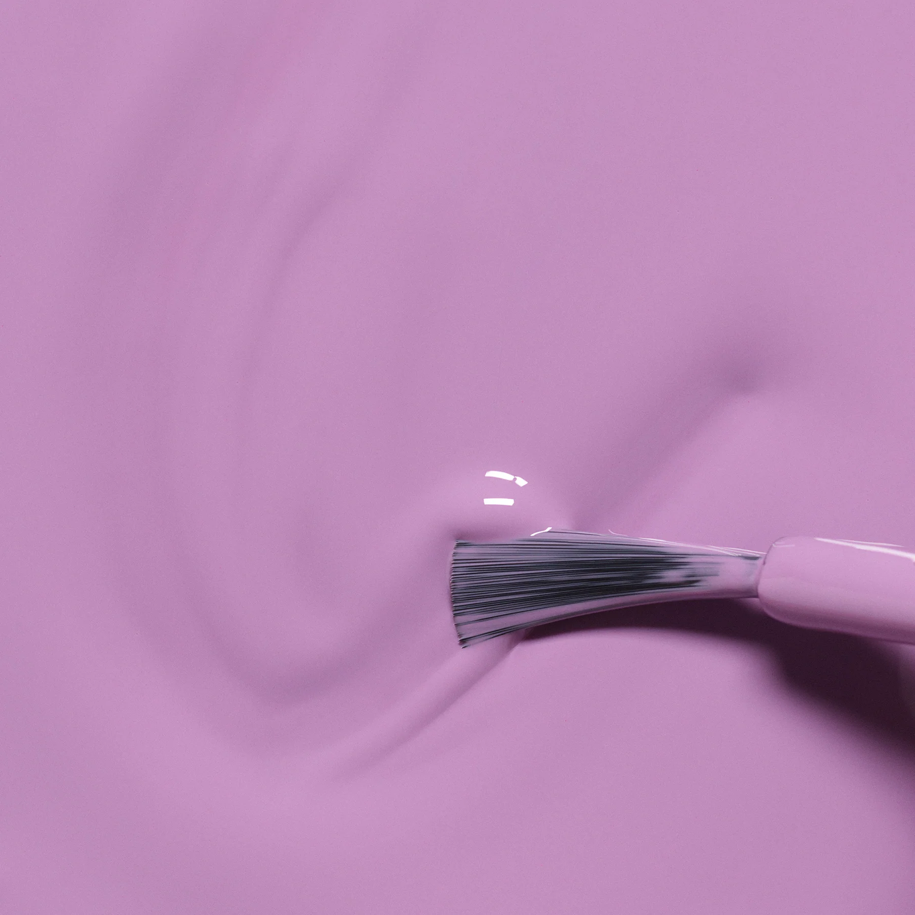 Mini LILY LA LICORNE – Parme – Image 3