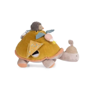 Tortue géante d’activités