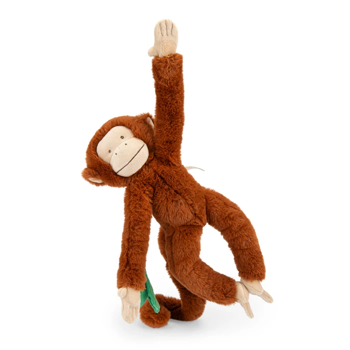 Singe Mochica d’activités | La forêt Mawa – Image 3