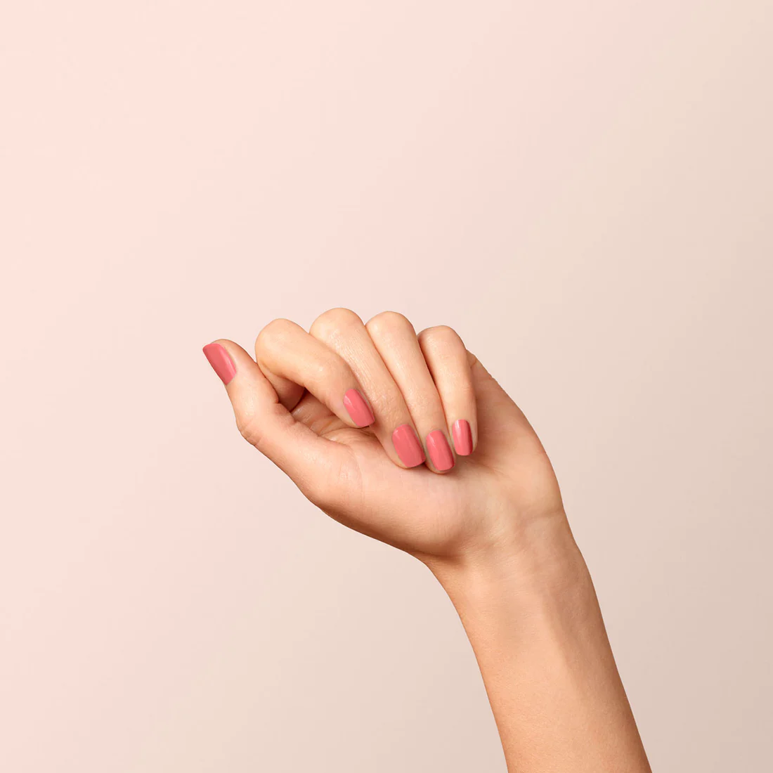 GREEN – Bois de rose – Image 4