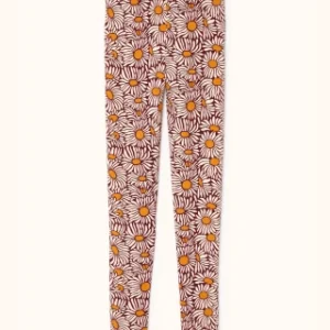 Legging jaya marguerite aubergine