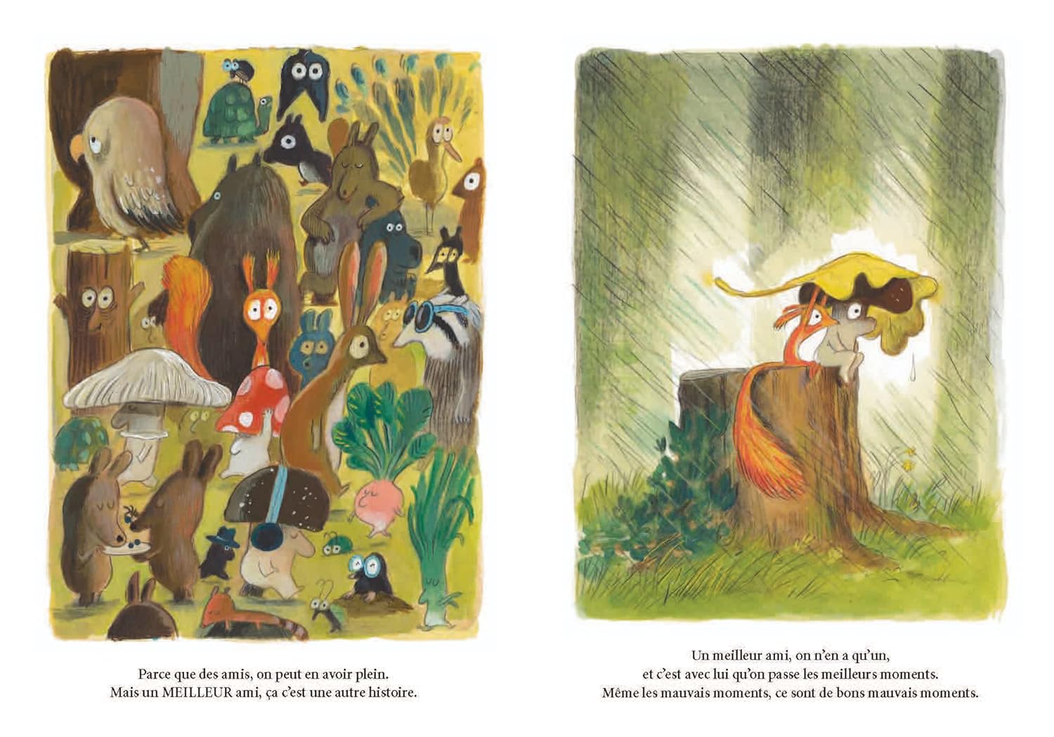 Un meilleur meilleur ami | Olivier Tallec – Image 6
