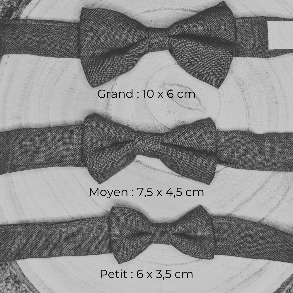 Noeud papillon enfant merveilleux – Image 4