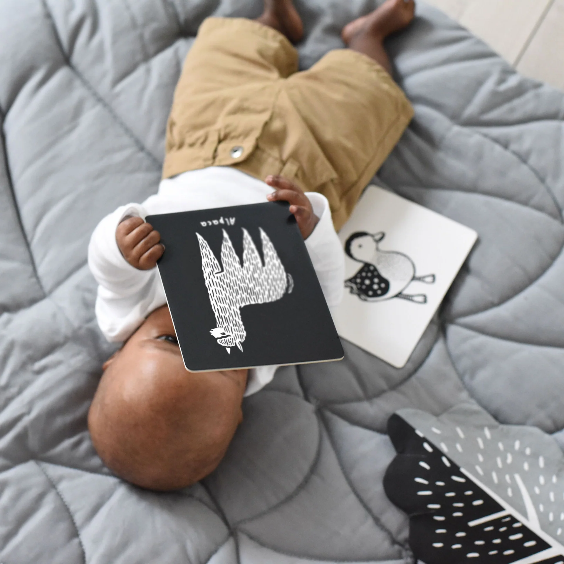 Cartes artistiques pour bébé – Baby Animals – Image 5